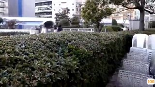 DASS-265 蒸れたケツ穴から溢れ出るフェロモンに男が欲情して舐め犯される痙攣失禁アナルクンニ